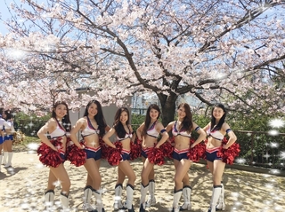 2016-04-04_08.16.59.jpg