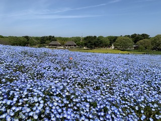 25D87540-6A69-424B-A9B7-444E6DC5A03F.jpeg