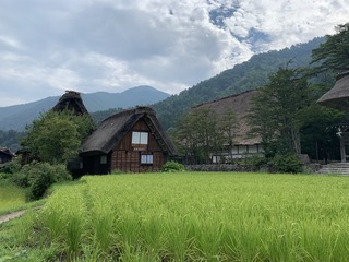 26E75163-4709-44CB-97BA-3386F33377ED.jpeg