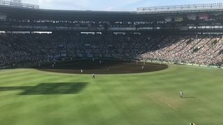 34D16DF2-92FB-4AF2-9AA2-0F3C6B775E56.jpeg
