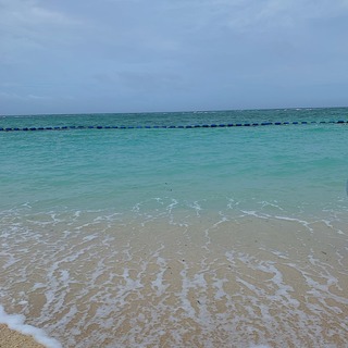 82167D79-824A-4136-BBC5-F68AE3BE4034.jpeg