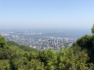 AB94B33E-18D8-4B67-9E4A-40873D919910.jpeg