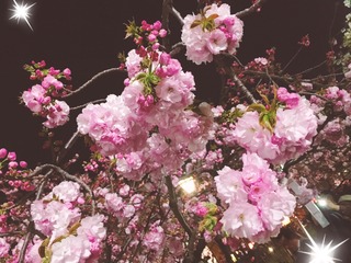 C0C2FB0E-7D5F-4B31-93AD-DF837A6FB047.jpeg