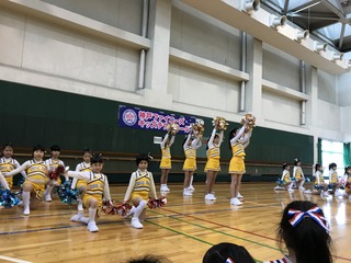 gZIWi (1).JPG